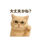 ネコしてます:いつものやつ 3（個別スタンプ：7）