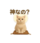ネコしてます:いつものやつ 3（個別スタンプ：8）