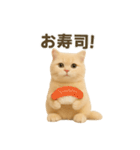 ネコしてます:いつものやつ 3（個別スタンプ：14）