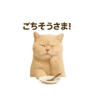 ネコしてます:いつものやつ 3（個別スタンプ：17）
