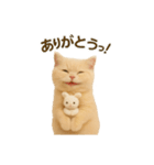 ネコしてます:いつものやつ 3（個別スタンプ：18）