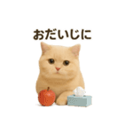ネコしてます:いつものやつ 3（個別スタンプ：33）