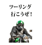 ツーリング☆ゴリラ【BIG】（個別スタンプ：1）