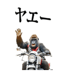 ツーリング☆ゴリラ【BIG】（個別スタンプ：4）
