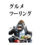 ツーリング☆ゴリラ【BIG】（個別スタンプ：6）