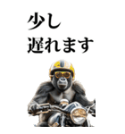ツーリング☆ゴリラ【BIG】（個別スタンプ：29）
