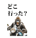ツーリング☆ゴリラ【BIG】（個別スタンプ：31）