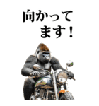 ツーリング☆ゴリラ【BIG】（個別スタンプ：33）