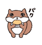 しっぽがフサフサふわふわのリスたち（個別スタンプ：5）