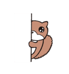 しっぽがフサフサふわふわのリスたち（個別スタンプ：6）