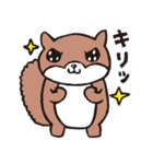 しっぽがフサフサふわふわのリスたち（個別スタンプ：8）