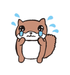 しっぽがフサフサふわふわのリスたち（個別スタンプ：13）