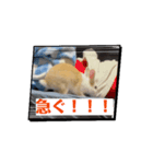 桃太郎ぱーと3（個別スタンプ：5）