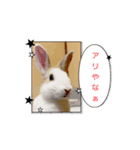 桃太郎ぱーと3（個別スタンプ：6）