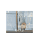 今日も元気なもこちゃん（個別スタンプ：8）