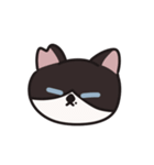 かわいい猫 ブルーノのアニメスタンプ（個別スタンプ：2）