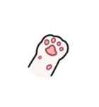 かわいい猫 ブルーノのアニメスタンプ（個別スタンプ：3）