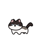 かわいい猫 ブルーノのアニメスタンプ（個別スタンプ：5）