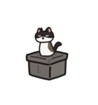 かわいい猫 ブルーノのアニメスタンプ（個別スタンプ：8）