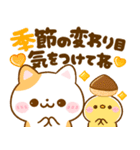 秋に役立つ♡ねこねこにゃんこ（個別スタンプ：34）