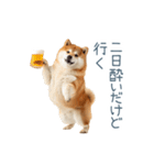 実写断らない柴犬【面白い・連絡】（個別スタンプ：5）