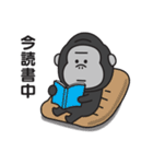 連絡用〇ゴリラのスタンプ（個別スタンプ：14）