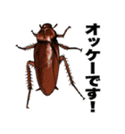 飛び出す！毎日送りやすい！爆笑ミミズ問題（個別スタンプ：2）