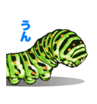 飛び出す！毎日送りやすい！爆笑ミミズ問題（個別スタンプ：13）