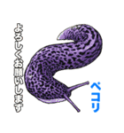 飛び出す！毎日送りやすい！爆笑ミミズ問題（個別スタンプ：16）