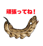 飛び出す！毎日送りやすい！爆笑ミミズ問題（個別スタンプ：19）
