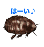 飛び出す！毎日送りやすい！爆笑ミミズ問題（個別スタンプ：20）