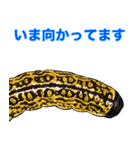 飛び出す！毎日送りやすい！爆笑ミミズ問題（個別スタンプ：21）