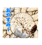 飛び出す！毎日送りやすい！爆笑ミミズ問題（個別スタンプ：24）