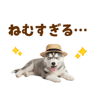 毎日使える♪ハスキー子犬スタンプ（個別スタンプ：9）