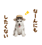 毎日使える♪ハスキー子犬スタンプ（個別スタンプ：21）
