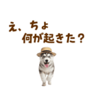 毎日使える♪ハスキー子犬スタンプ（個別スタンプ：26）