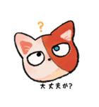 ショートキャットスタンプ ヒロアカ！（個別スタンプ：13）