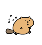 動く！たぷたぷビーバーとまるころねこ（個別スタンプ：8）