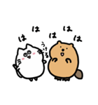 動く！たぷたぷビーバーとまるころねこ（個別スタンプ：12）