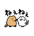 動く！たぷたぷビーバーとまるころねこ（個別スタンプ：15）