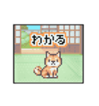 動く！液晶ドット絵わんこ（個別スタンプ：2）