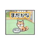動く！液晶ドット絵わんこ（個別スタンプ：15）