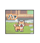動く！液晶ドット絵わんこ（個別スタンプ：21）