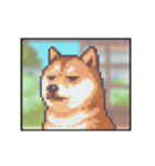 動く！液晶ドット絵わんこ（個別スタンプ：24）
