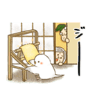 昔話・童話に紛れこむインコ（個別スタンプ：31）