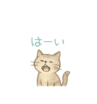 やさしい色味のにゃんこスタンプ（個別スタンプ：3）