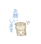 やさしい色味のにゃんこスタンプ（個別スタンプ：19）