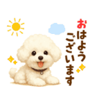 ビションフリーゼ好きのためのかわいい日常（個別スタンプ：1）