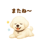 ビションフリーゼ好きのためのかわいい日常（個別スタンプ：5）