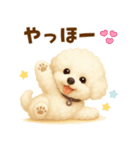 ビションフリーゼ好きのためのかわいい日常（個別スタンプ：6）